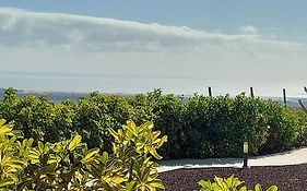 The Black Horse Canarias - Adults Only